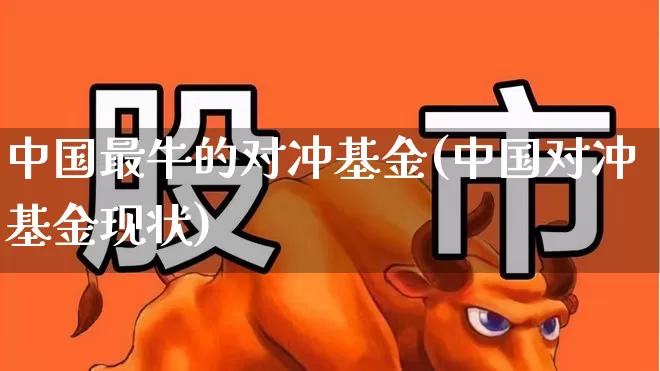 中国最牛的对冲基金(中国对冲基金现状)_https://www.hangfeite.com_北交所_第1张