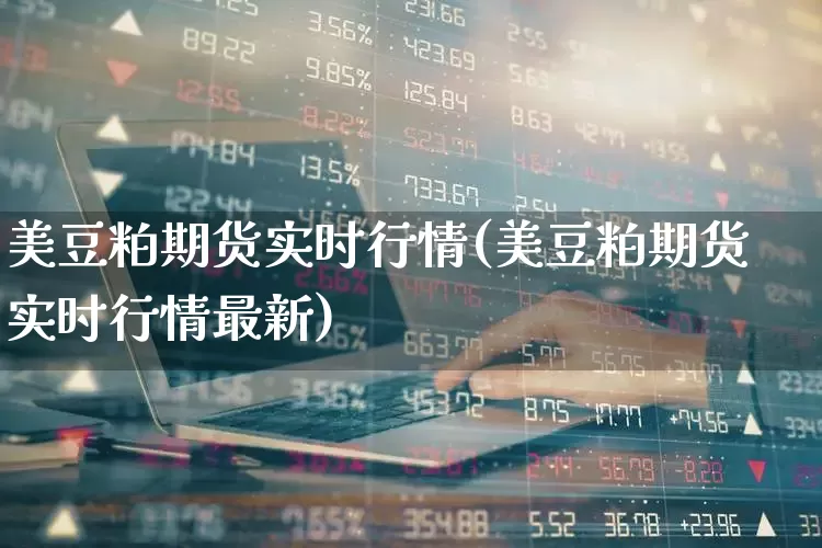 美豆粕期货实时行情(美豆粕期货实时行情最新)_https://www.hangfeite.com_上交所_第1张