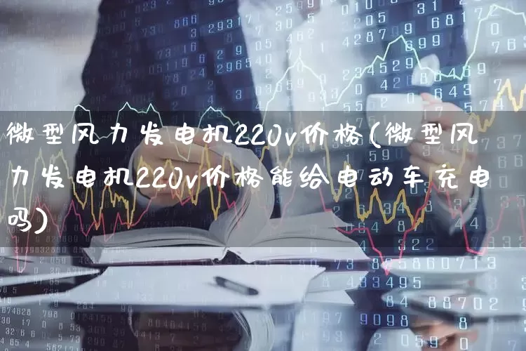 微型风力发电机220v价格(微型风力发电机220v价格能给电动车充电吗)_https://www.hangfeite.com_科创板_第1张