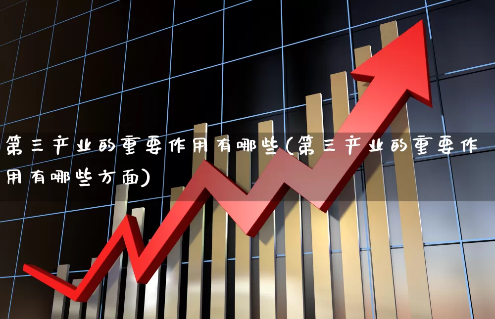 第三产业的重要作用有哪些(第三产业的重要作用有哪些方面)_https://www.hangfeite.com_北交所_第1张