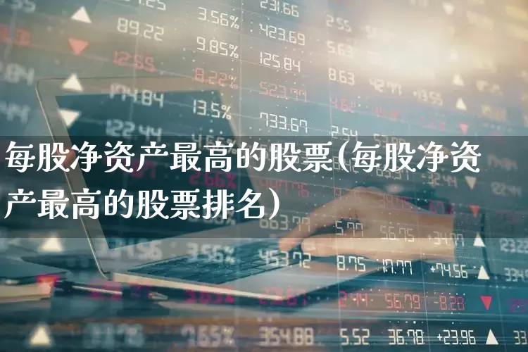 每股净资产最高的股票(每股净资产最高的股票排名)_https://www.hangfeite.com_上交所_第1张