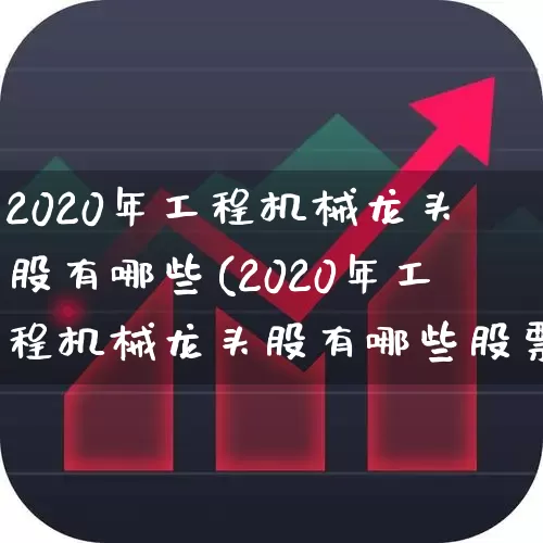 2020年工程机械龙头股有哪些(2020年工程机械龙头股有哪些股票)_https://www.hangfeite.com_深交所_第1张
