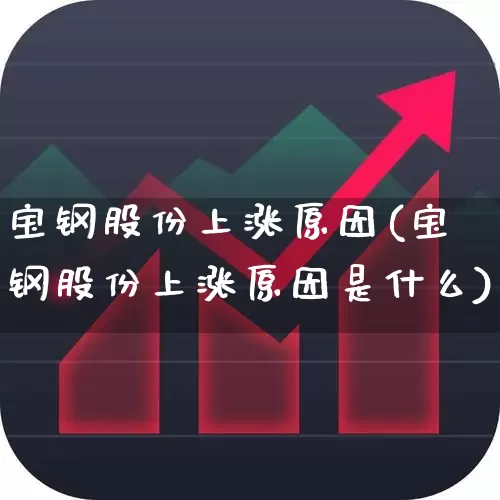 宝钢股份上涨原因(宝钢股份上涨原因是什么)_https://www.hangfeite.com_科创板_第1张