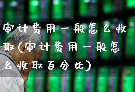 审计费用一般怎么收取(审计费用一般怎么收取百分比)_https://www.hangfeite.com_北交所_第1张