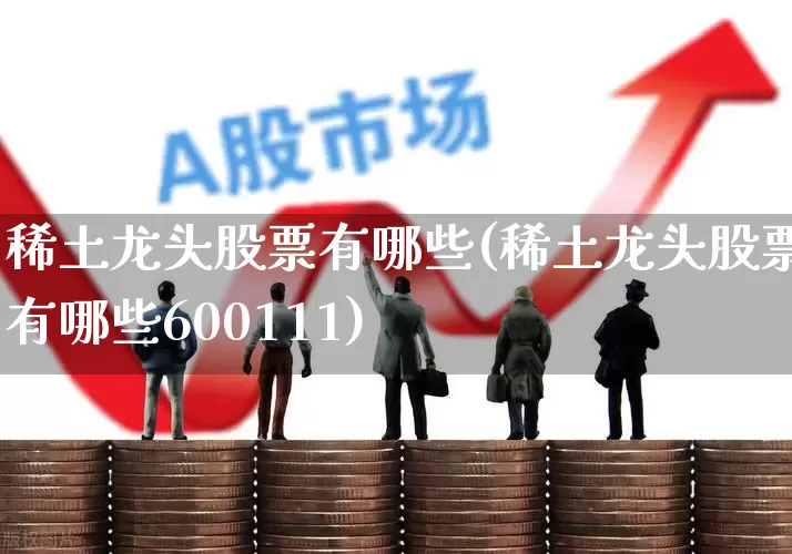 稀土龙头股票有哪些(稀土龙头股票有哪些600111)_https://www.hangfeite.com_创业板_第1张