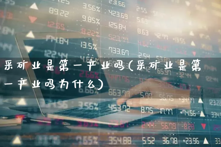 采矿业是第一产业吗(采矿业是第一产业吗为什么)_https://www.hangfeite.com_北交所_第1张