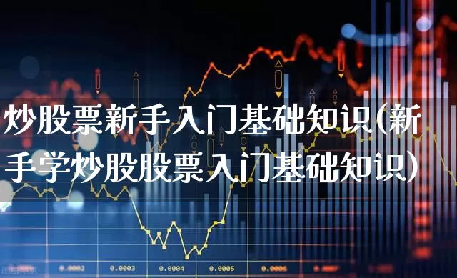 炒股票新手入门基础知识(新手学炒股股票入门基础知识)_https://www.hangfeite.com_上交所_第1张