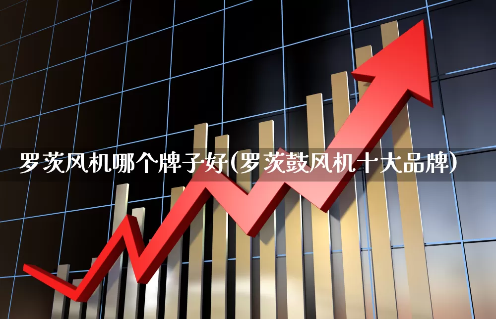 罗茨风机哪个牌子好(罗茨鼓风机十大品牌)_https://www.hangfeite.com_创业板_第1张