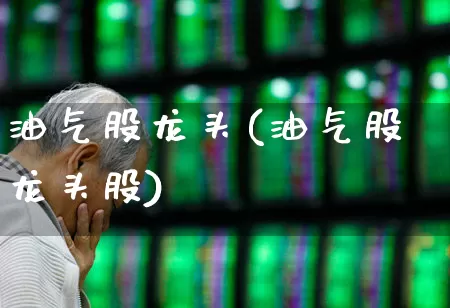 油气股龙头(油气股龙头股)_https://www.hangfeite.com_深交所_第1张