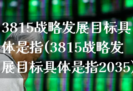 3815战略发展目标具体是指(3815战略发展目标具体是指2035)_https://www.hangfeite.com_深交所_第1张