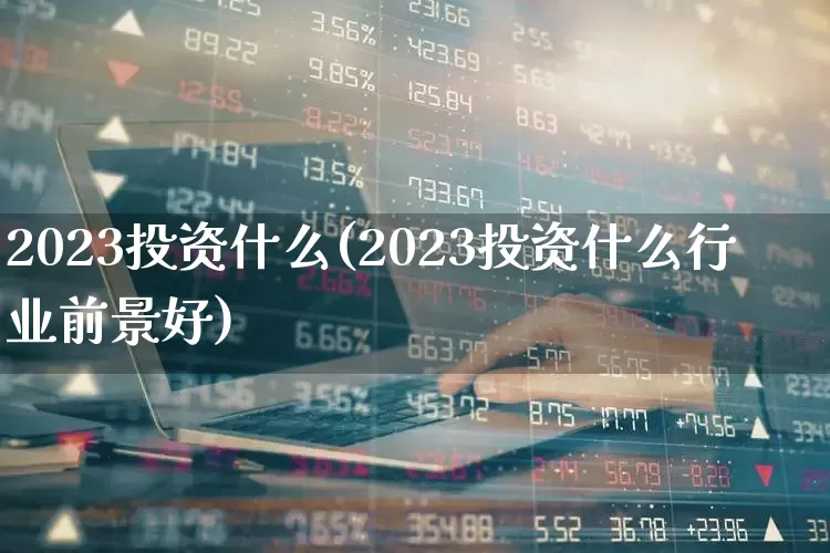 2023投资什么(2023投资什么行业前景好)_https://www.hangfeite.com_北交所_第1张