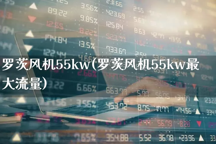 罗茨风机55kw(罗茨风机55kw最大流量)_https://www.hangfeite.com_科创板_第1张
