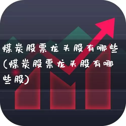 煤炭股票龙头股有哪些(煤炭股票龙头股有哪些股)_https://www.hangfeite.com_创业板_第1张