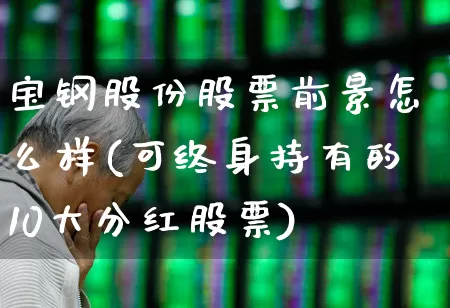 宝钢股份股票前景怎么样(可终身持有的10大分红股票)_https://www.hangfeite.com_上交所_第1张