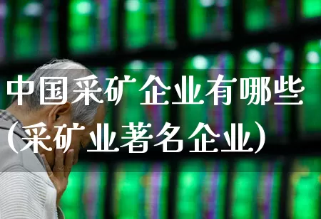 中国采矿企业有哪些(采矿业著名企业)_https://www.hangfeite.com_北交所_第1张