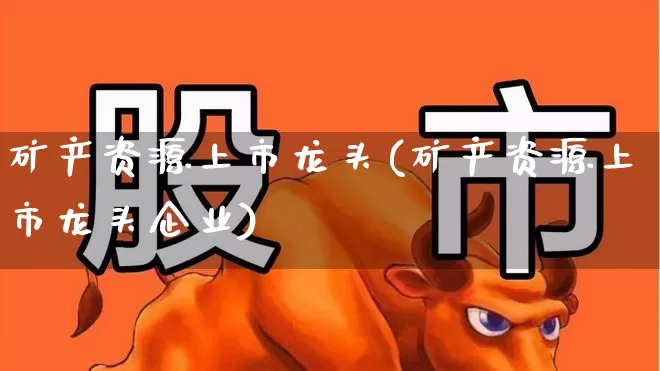 矿产资源上市龙头(矿产资源上市龙头企业)_https://www.hangfeite.com_上交所_第1张