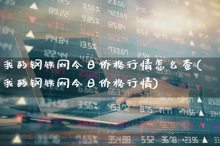 我的钢铁网今日价格行情怎么查(我的钢铁网今日价格行情)_https://www.hangfeite.com_上交所_第1张