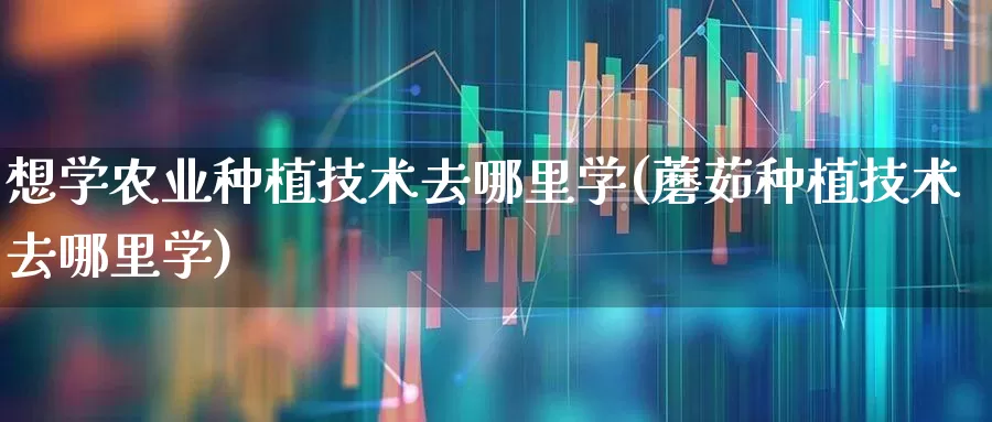 想学农业种植技术去哪里学(蘑茹种植技术去哪里学)_https://www.hangfeite.com_上交所_第1张