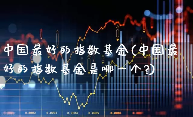 中国最好的指数基金(中国最好的指数基金是哪一个?)_https://www.hangfeite.com_科创板_第1张