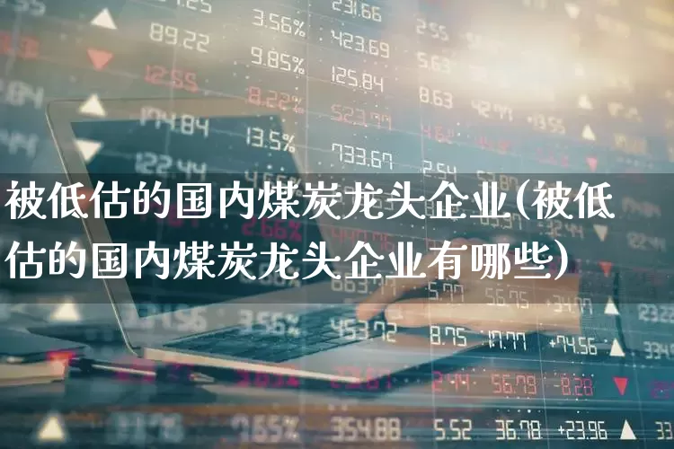 被低估的国内煤炭龙头企业(被低估的国内煤炭龙头企业有哪些)_https://www.hangfeite.com_科创板_第1张