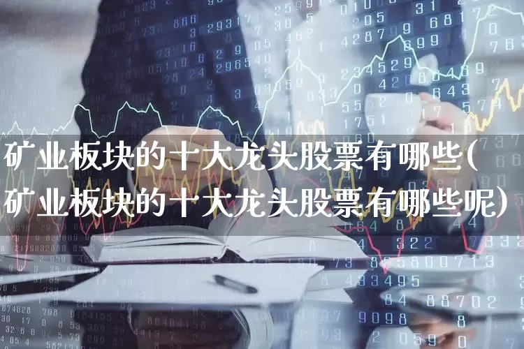 矿业板块的十大龙头股票有哪些(矿业板块的十大龙头股票有哪些呢)_https://www.hangfeite.com_上交所_第1张