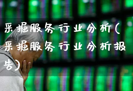 采掘服务行业分析(采掘服务行业分析报告)_https://www.hangfeite.com_北交所_第1张