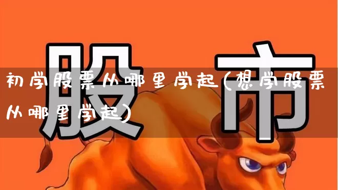 初学股票从哪里学起(想学股票从哪里学起)_https://www.hangfeite.com_上交所_第1张