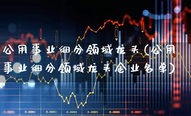 公用事业细分领域龙头(公用事业细分领域龙头企业名单)_https://www.hangfeite.com_上交所_第1张
