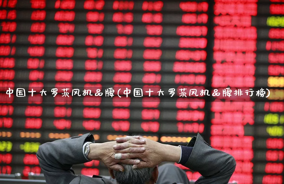 中国十大罗茨风机品牌(中国十大罗茨风机品牌排行榜)_https://www.hangfeite.com_深交所_第1张