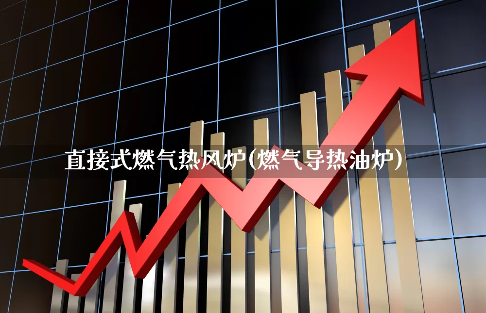 直接式燃气热风炉(燃气导热油炉)_https://www.hangfeite.com_北交所_第1张