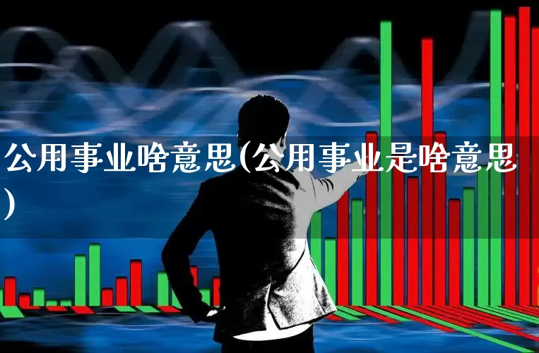 公用事业啥意思(公用事业是啥意思)_https://www.hangfeite.com_深交所_第1张