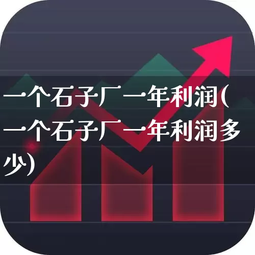 一个石子厂一年利润(一个石子厂一年利润多少)_https://www.hangfeite.com_北交所_第1张