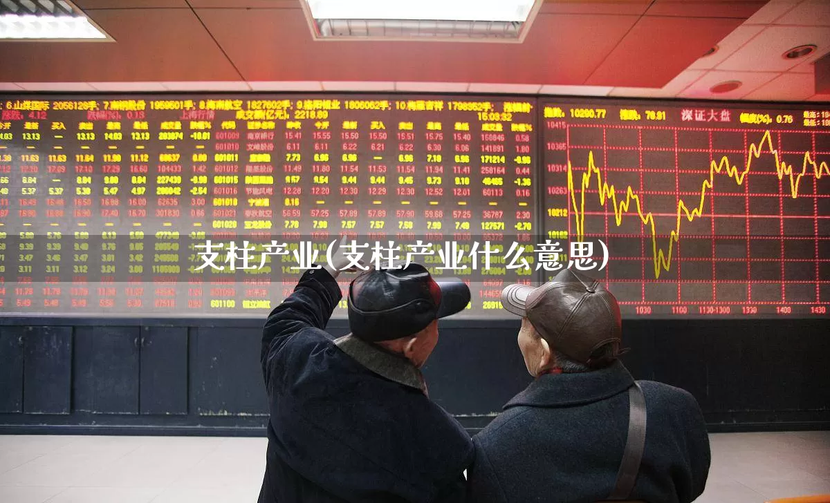 支柱产业(支柱产业什么意思)_https://www.hangfeite.com_科创板_第1张