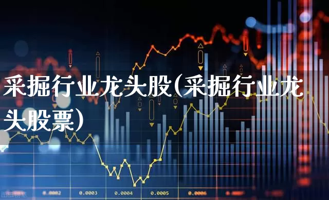 采掘行业龙头股(采掘行业龙头股票)_https://www.hangfeite.com_深交所_第1张