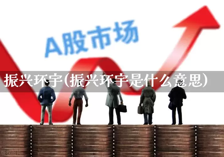 振兴环宇(振兴环宇是什么意思)_https://www.hangfeite.com_深交所_第1张