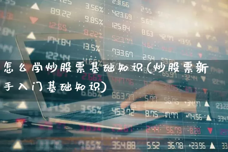 怎么学炒股票基础知识(炒股票新手入门基础知识)_https://www.hangfeite.com_北交所_第1张