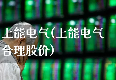 上能电气(上能电气合理股价)_https://www.hangfeite.com_深交所_第1张