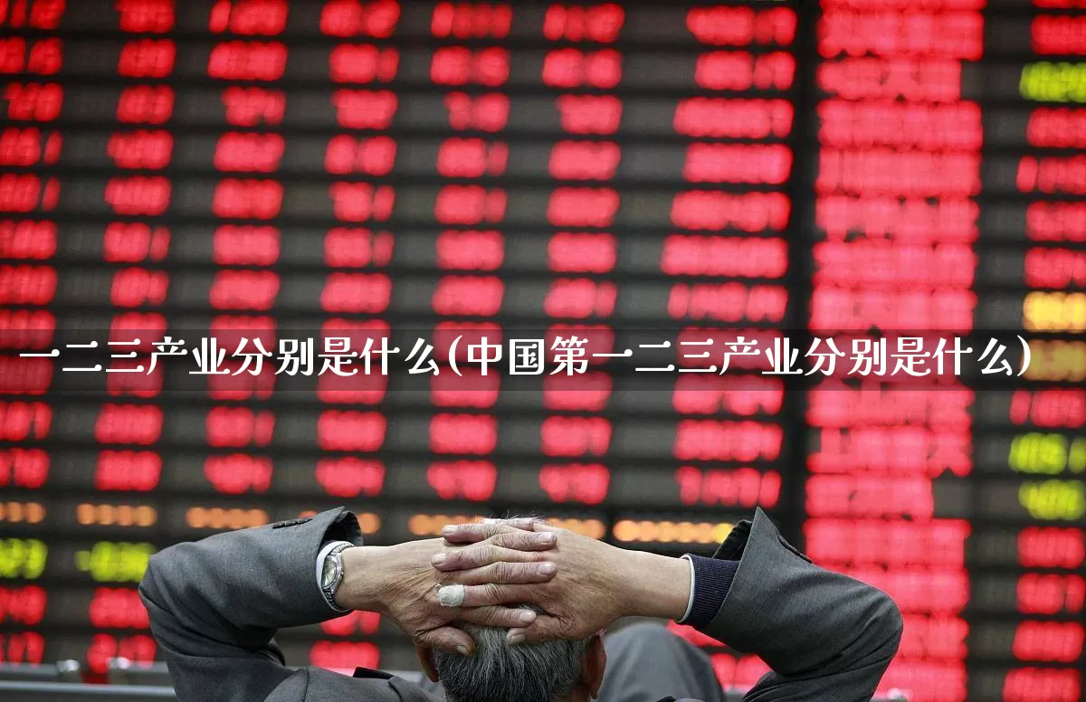 一二三产业分别是什么(中国第一二三产业分别是什么)_https://www.hangfeite.com_科创板_第1张