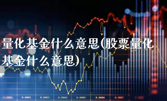 量化基金什么意思(股票量化基金什么意思)_https://www.hangfeite.com_北交所_第1张