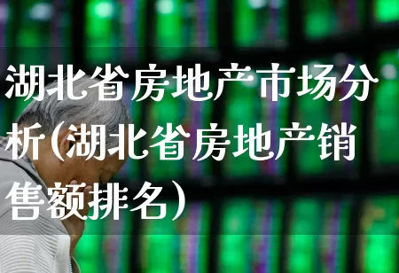 湖北省房地产市场分析(湖北省房地产销售额排名)_https://www.hangfeite.com_上交所_第1张