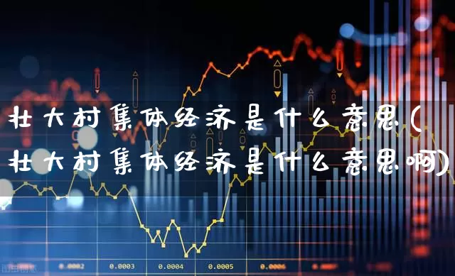 壮大村集体经济是什么意思(壮大村集体经济是什么意思啊)_https://www.hangfeite.com_北交所_第1张