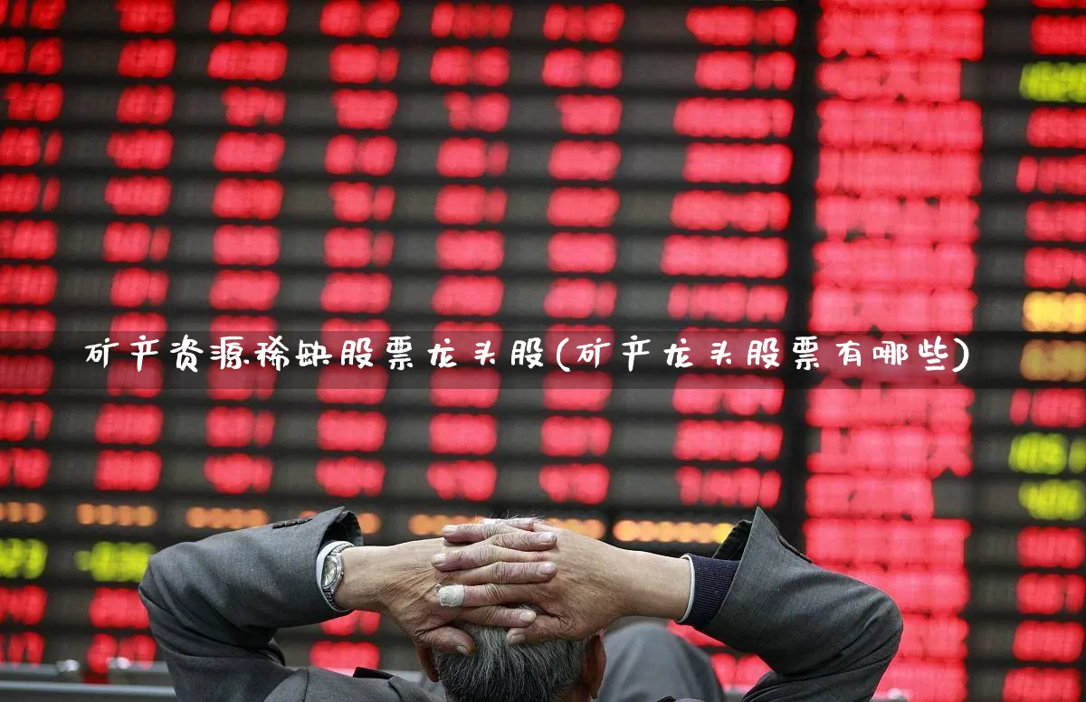 矿产资源稀缺股票龙头股(矿产龙头股票有哪些)_https://www.hangfeite.com_深交所_第1张