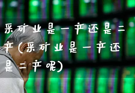 采矿业是一产还是二产(采矿业是一产还是二产呢)_https://www.hangfeite.com_科创板_第1张