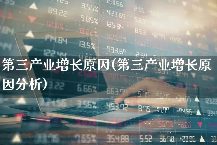 第三产业增长原因(第三产业增长原因分析)_https://www.hangfeite.com_创业板_第1张