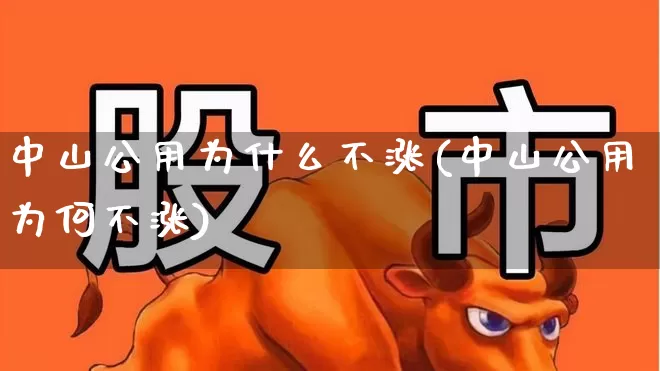 中山公用为什么不涨(中山公用为何不涨)_https://www.hangfeite.com_北交所_第1张