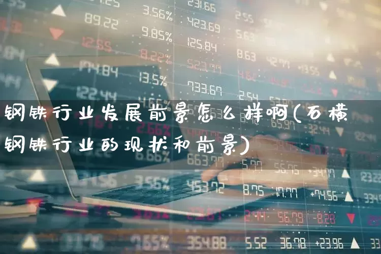 钢铁行业发展前景怎么样啊(石横钢铁行业的现状和前景)_https://www.hangfeite.com_上交所_第1张