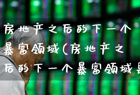 房地产之后的下一个暴富领域(房地产之后的下一个暴富领域是什么?)_https://www.hangfeite.com_北交所_第1张