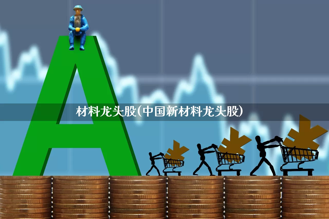 材料龙头股(中国新材料龙头股)_https://www.hangfeite.com_北交所_第1张