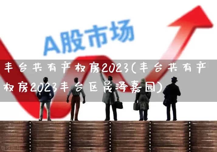 丰台共有产权房2023(丰台共有产权房2023丰台区晟泽嘉园)_https://www.hangfeite.com_上交所_第1张