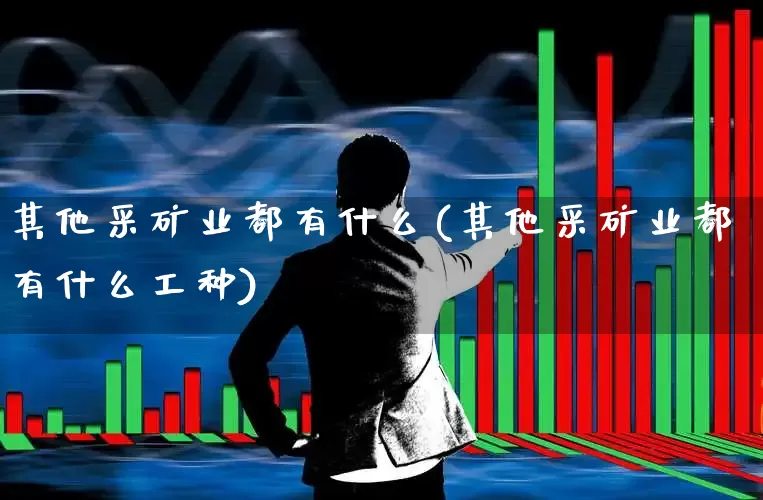 其他采矿业都有什么(其他采矿业都有什么工种)_https://www.hangfeite.com_科创板_第1张